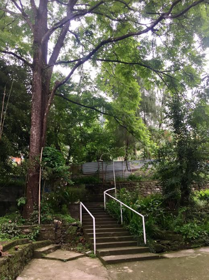 Screen Shot 2017-05-29 at 10.30.47 AM