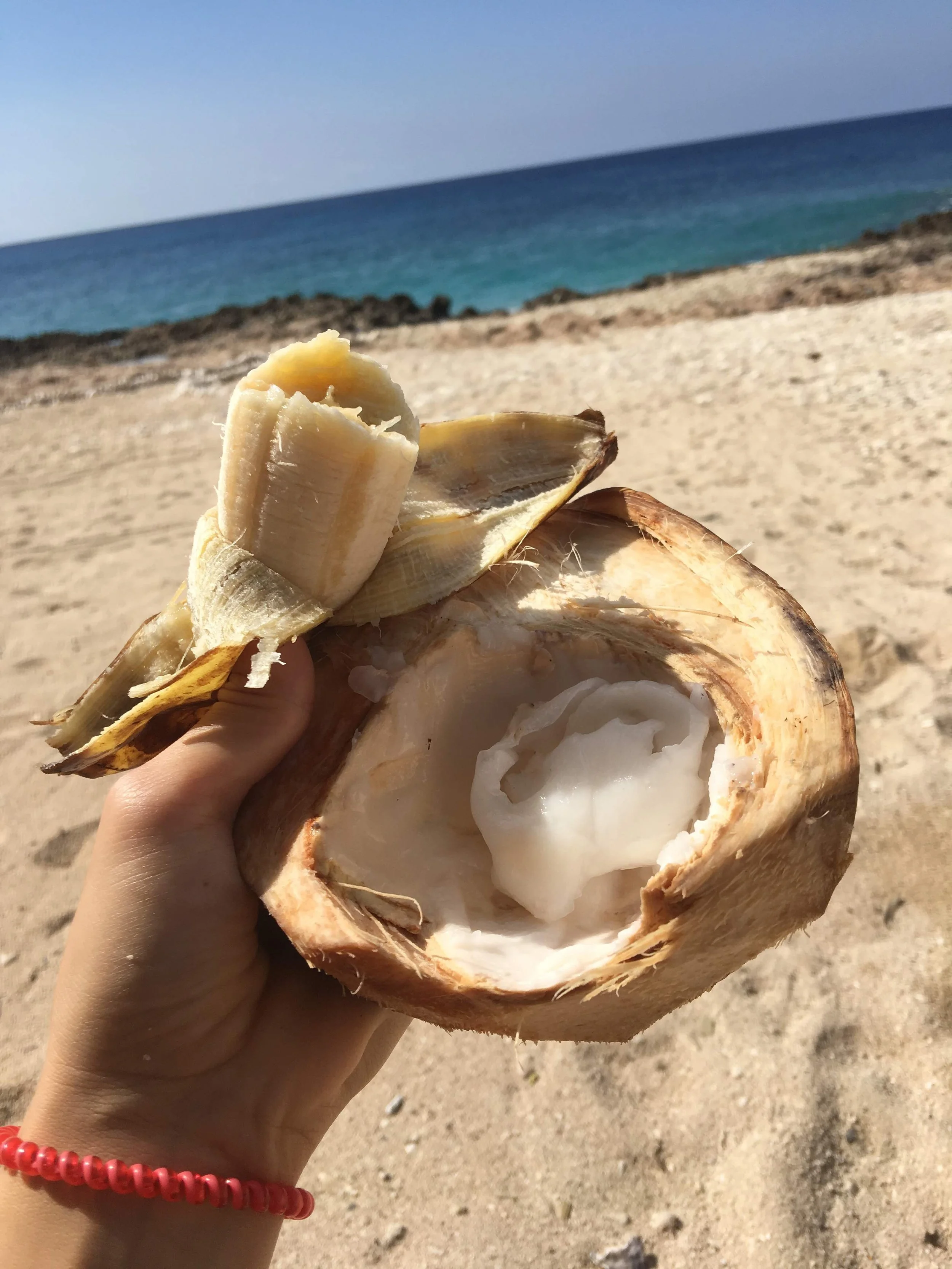 Snacking on bananas and coconut meat in Trinidad, Cuba