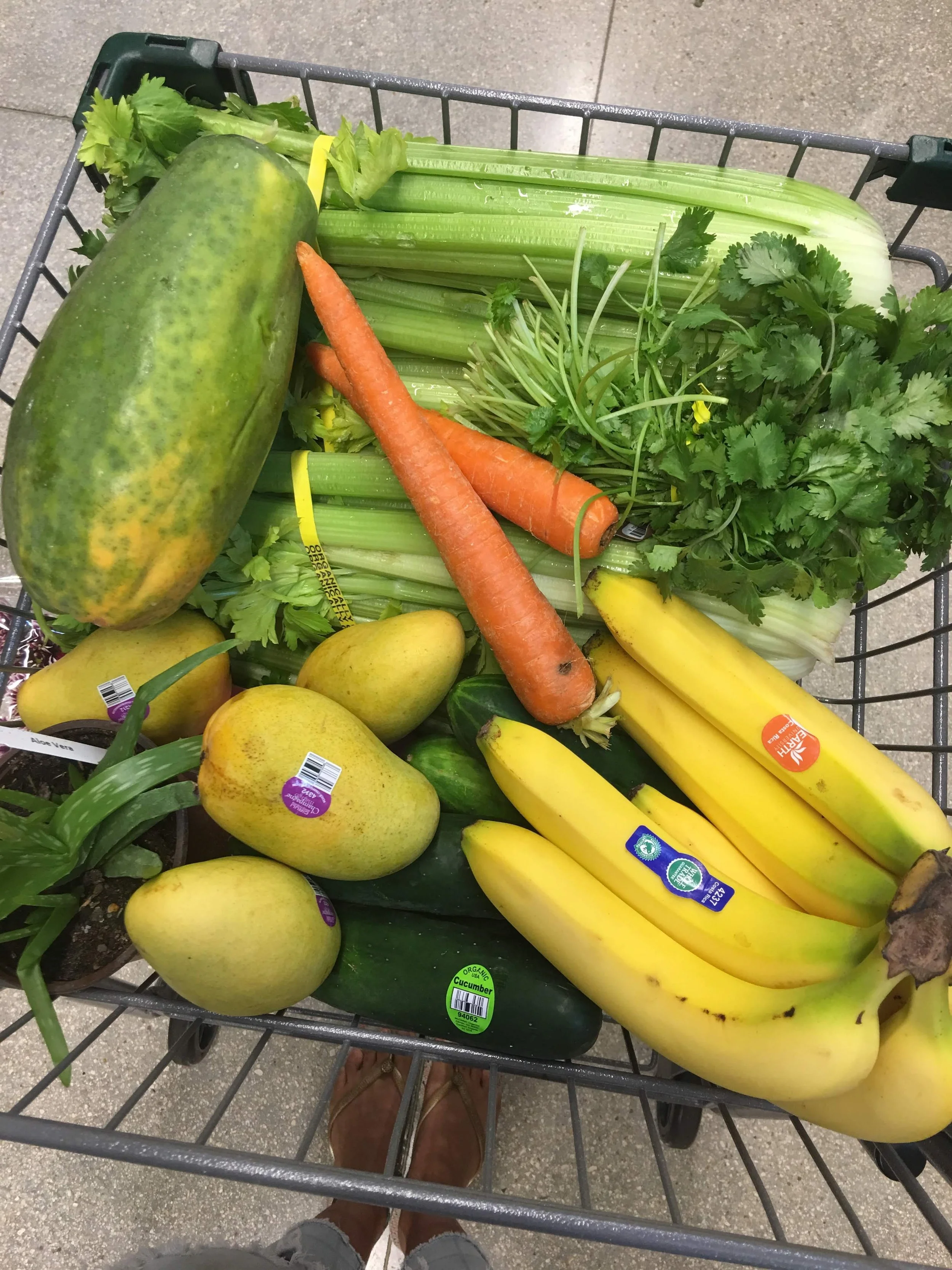 medical-medium-what-to-buy