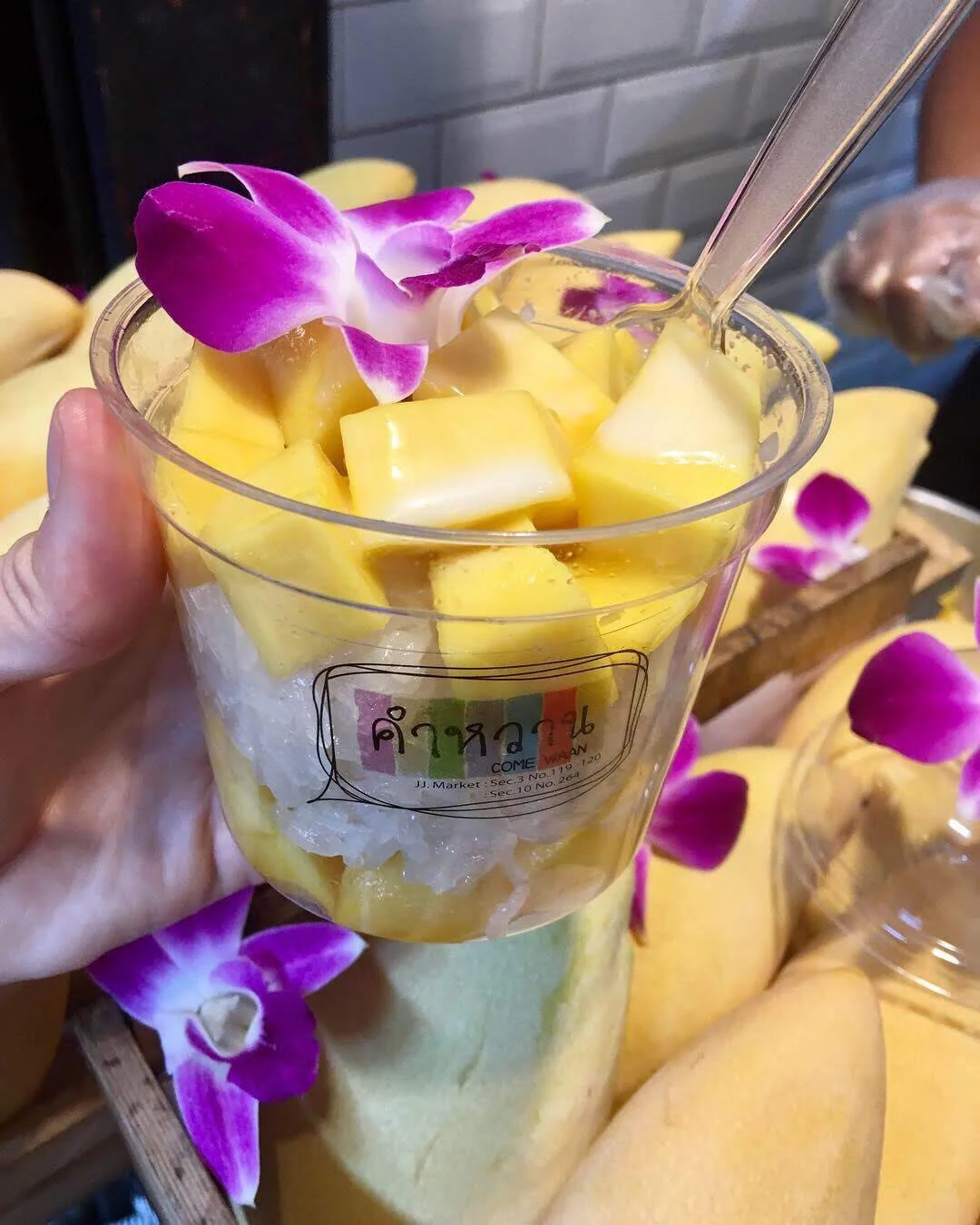 My favorite Thai dish, Mango Sticky Rice. Chatuchak Weekend Market, Bangkok.