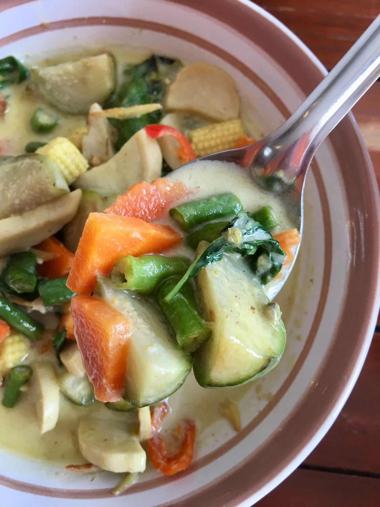 Green curry. Anchan Vegetarian Restaurant, Chiang May, Thailand.