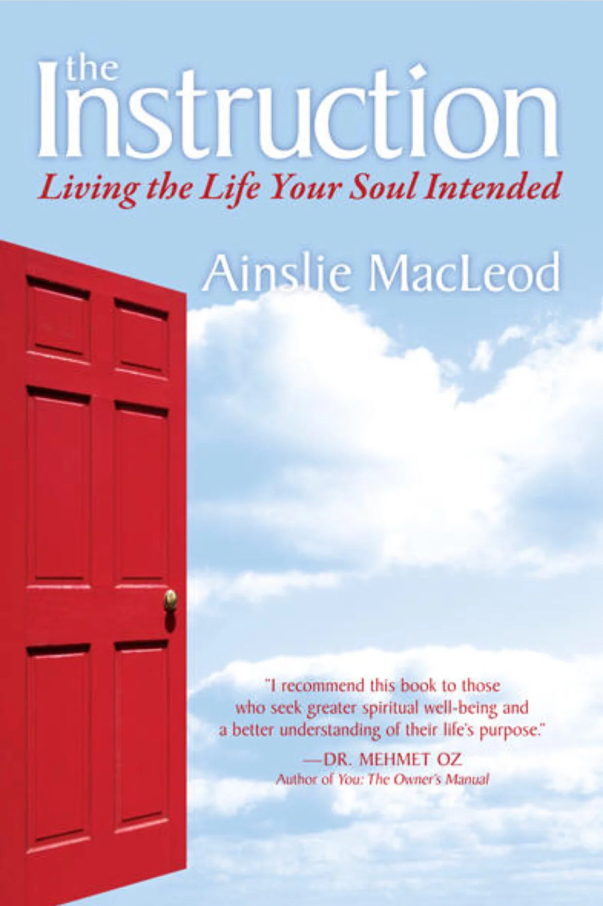 the-instruction-ainslie-macleod-book-review.jpg