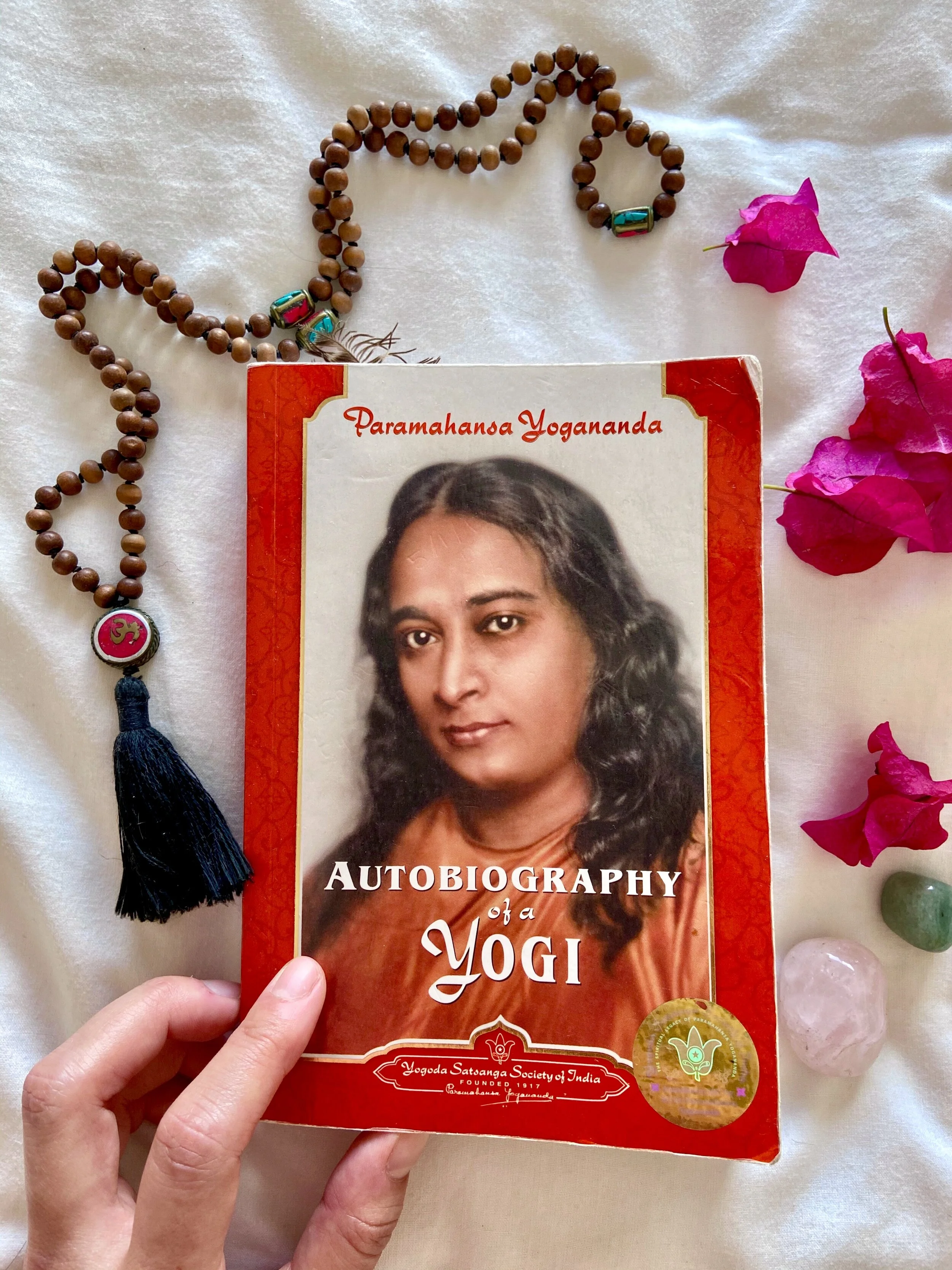 These Books Have Been My Greatest Teachers