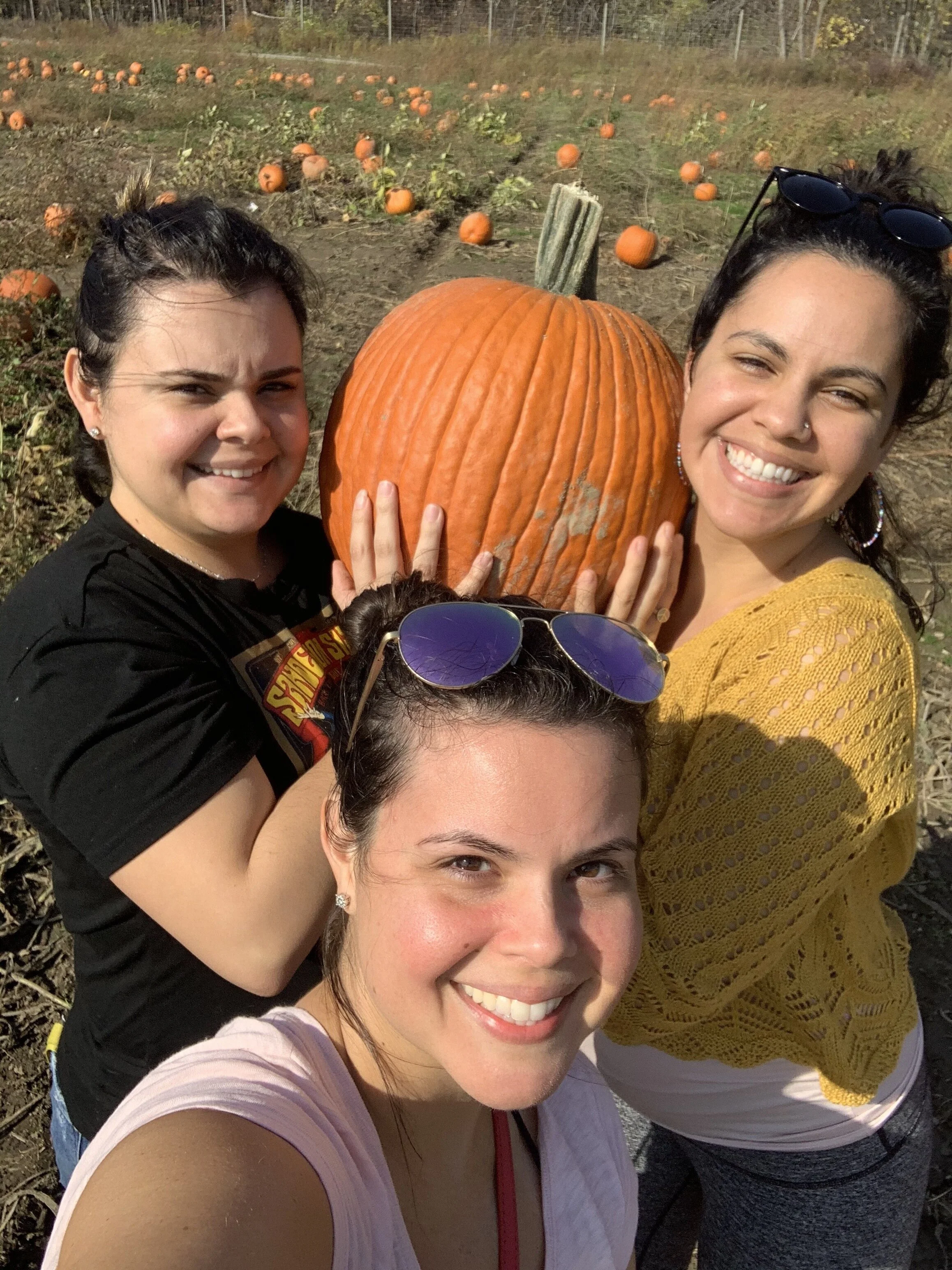 A far cry from the pumpkin patches in Miami.