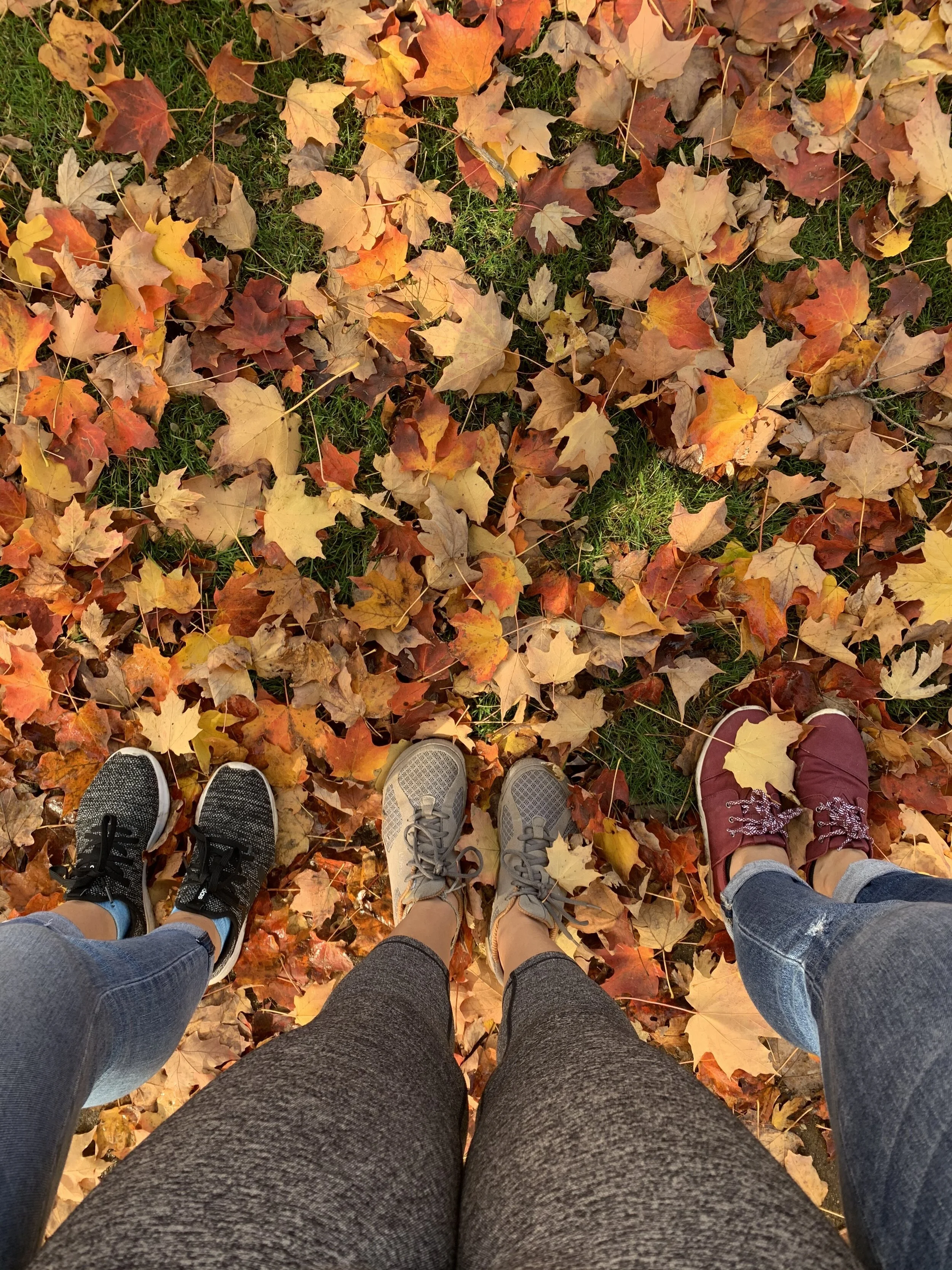 Three Miami girls do fall.