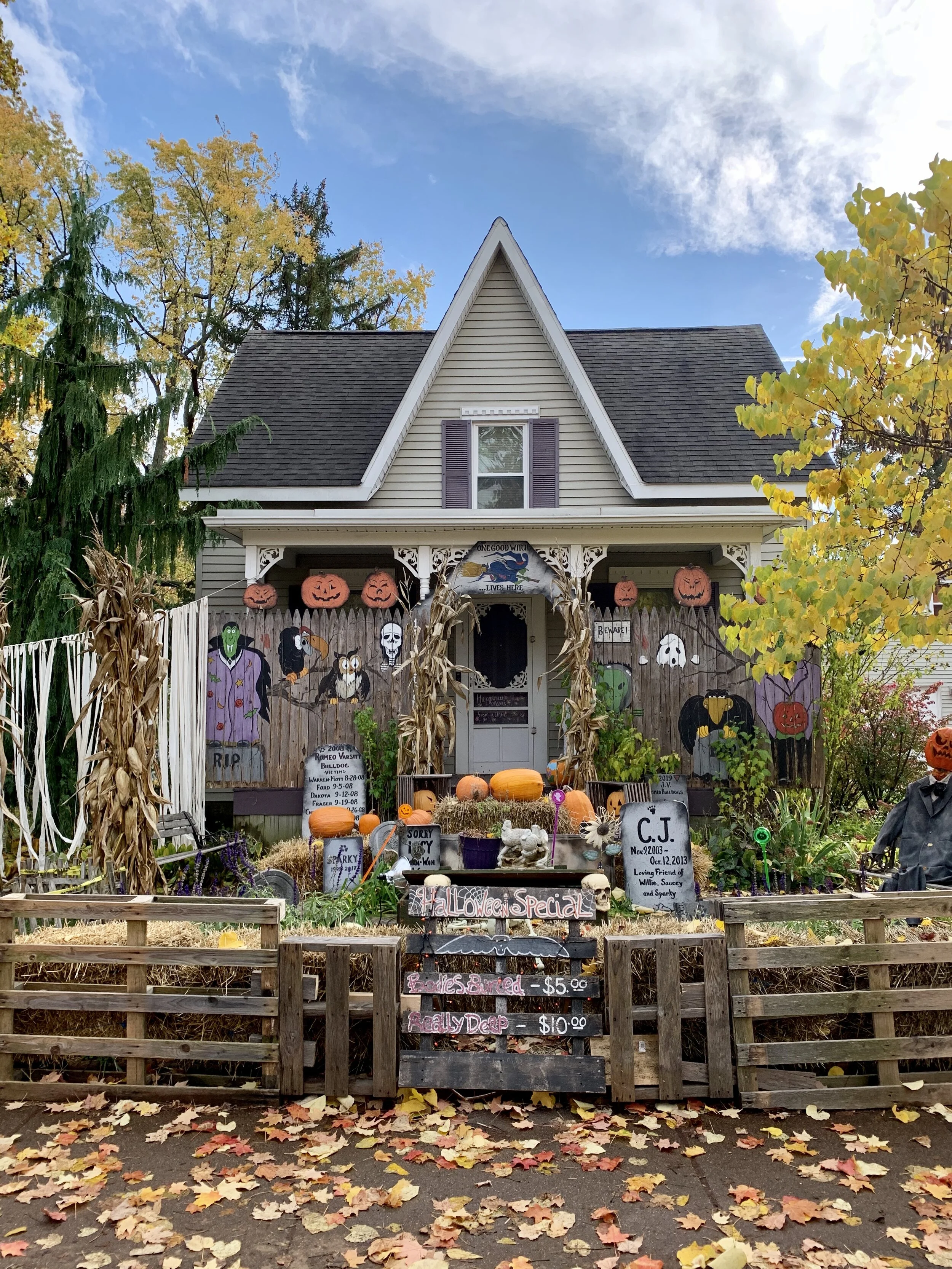 Halloween on Tillson Street in Romeo, MI.