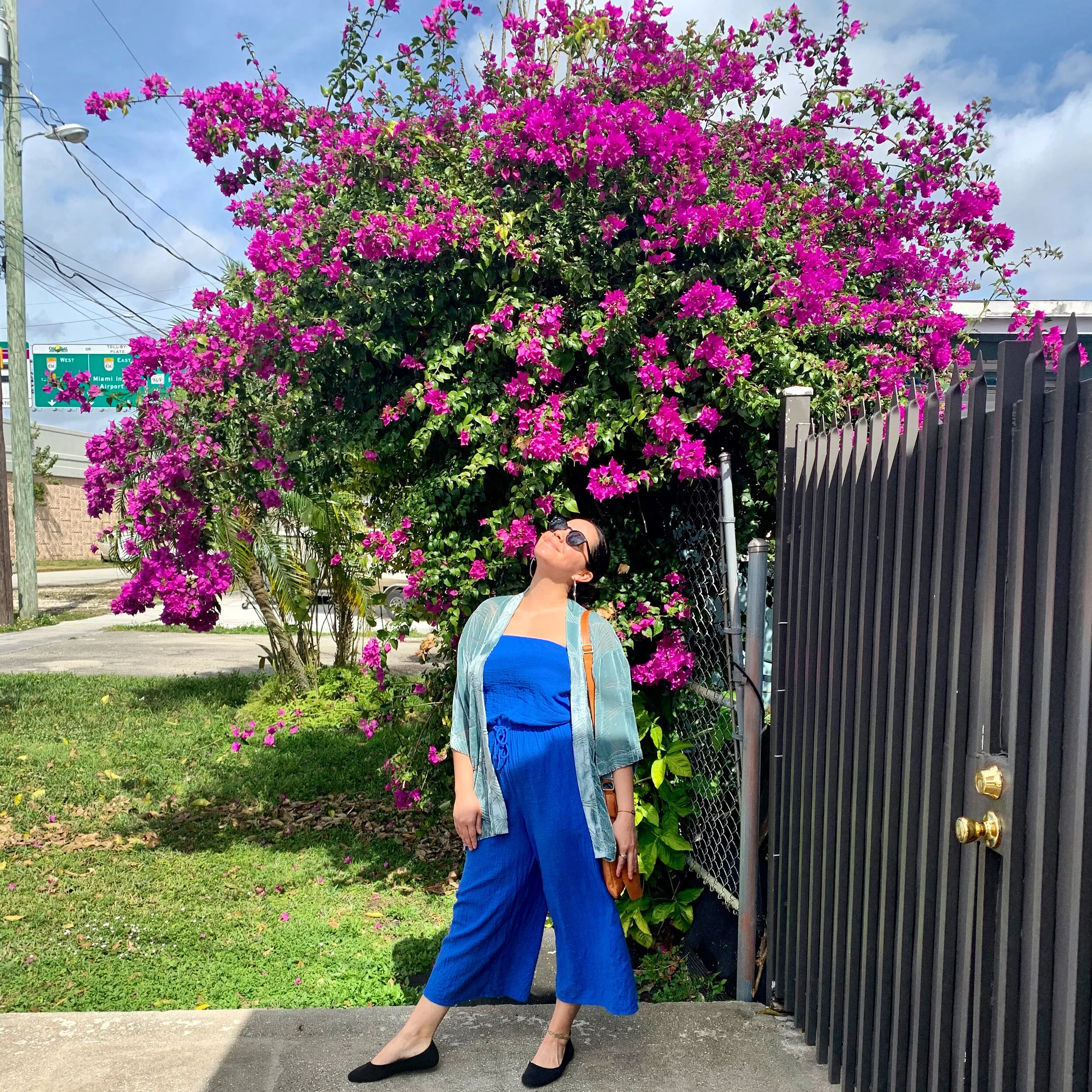 The Blue Zones: Secrets of the World's Longest-Living People