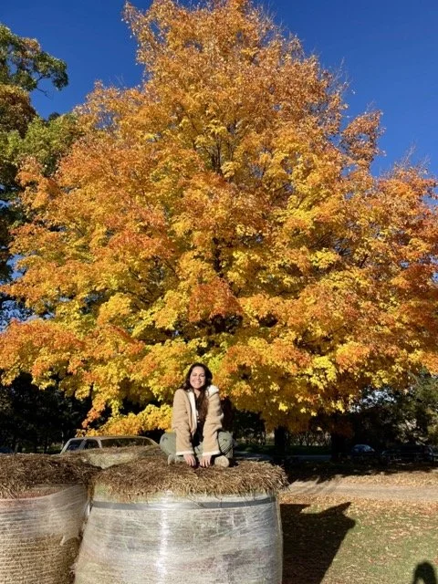 Broke &amp; Heartbroken