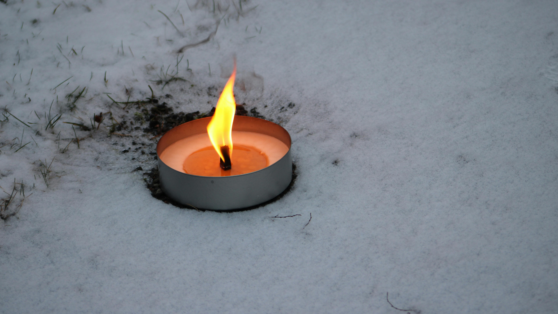 When The Body Politic Has a Fever