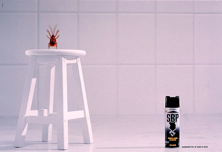 sbp--scared-cockroach-original-77658.jpg