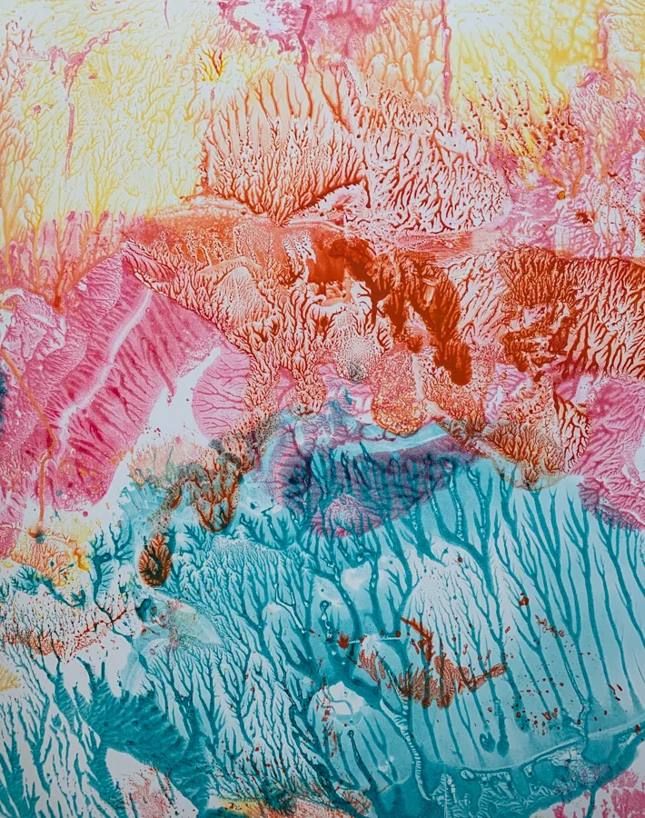 Coral 3, Ink on 22” X 30” BFK Rives paper, image size 19” X 24”.