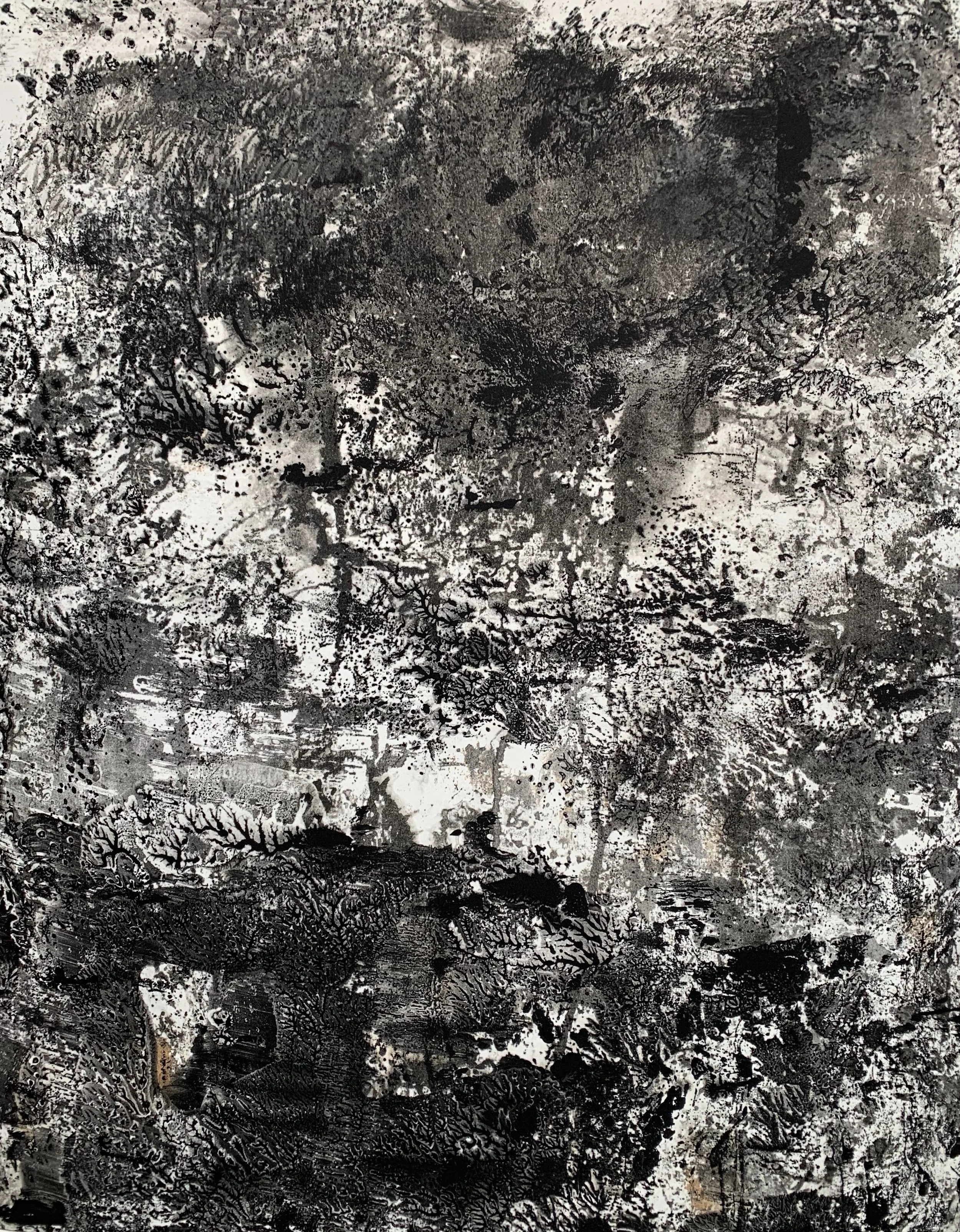 Mood, Ind on 22” X 30” BFK Rives paper, image size 19” X 24”.