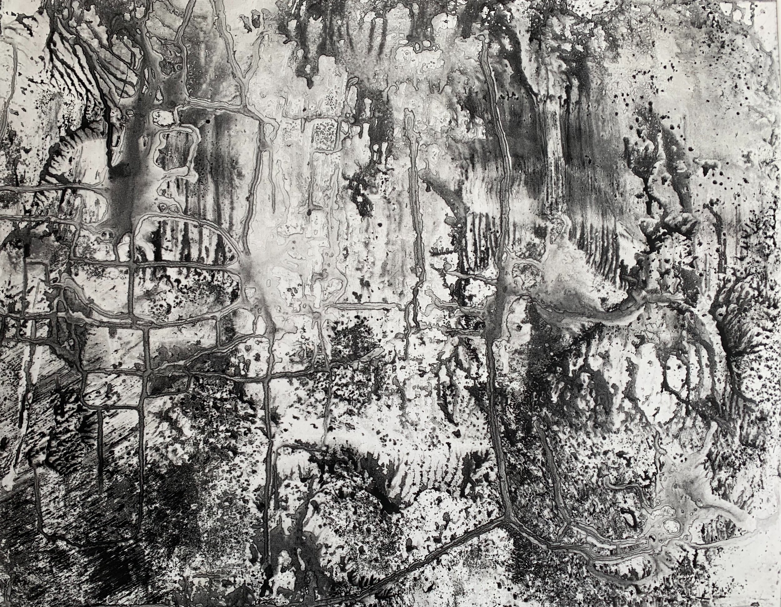 Lakeside 2, ink on 22” X 30 “ BFK Rives paper, image size 19” X 24“.