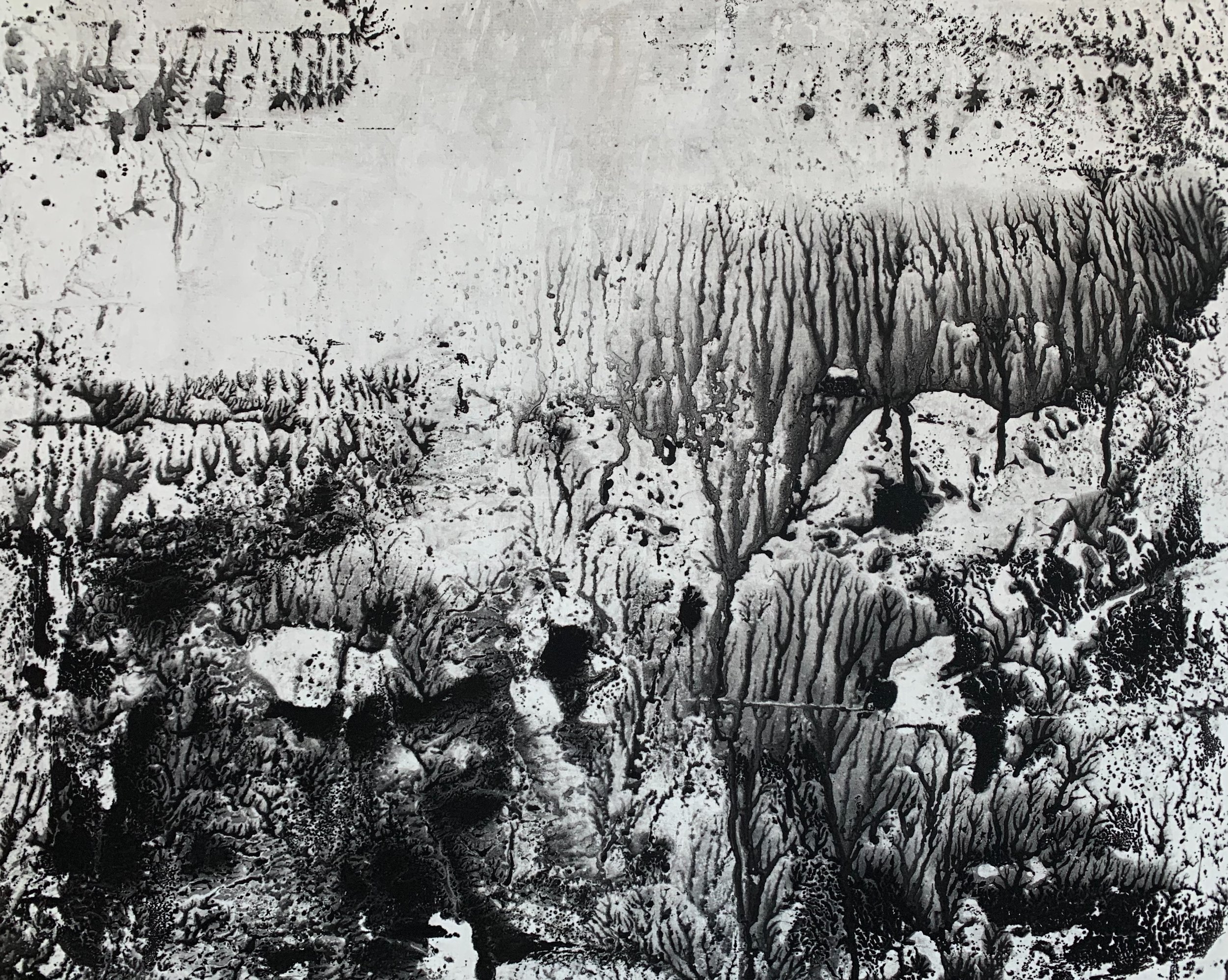 Lakeside, ink on 22” X 30” BFK Rives paper, image size 19” X 24”.