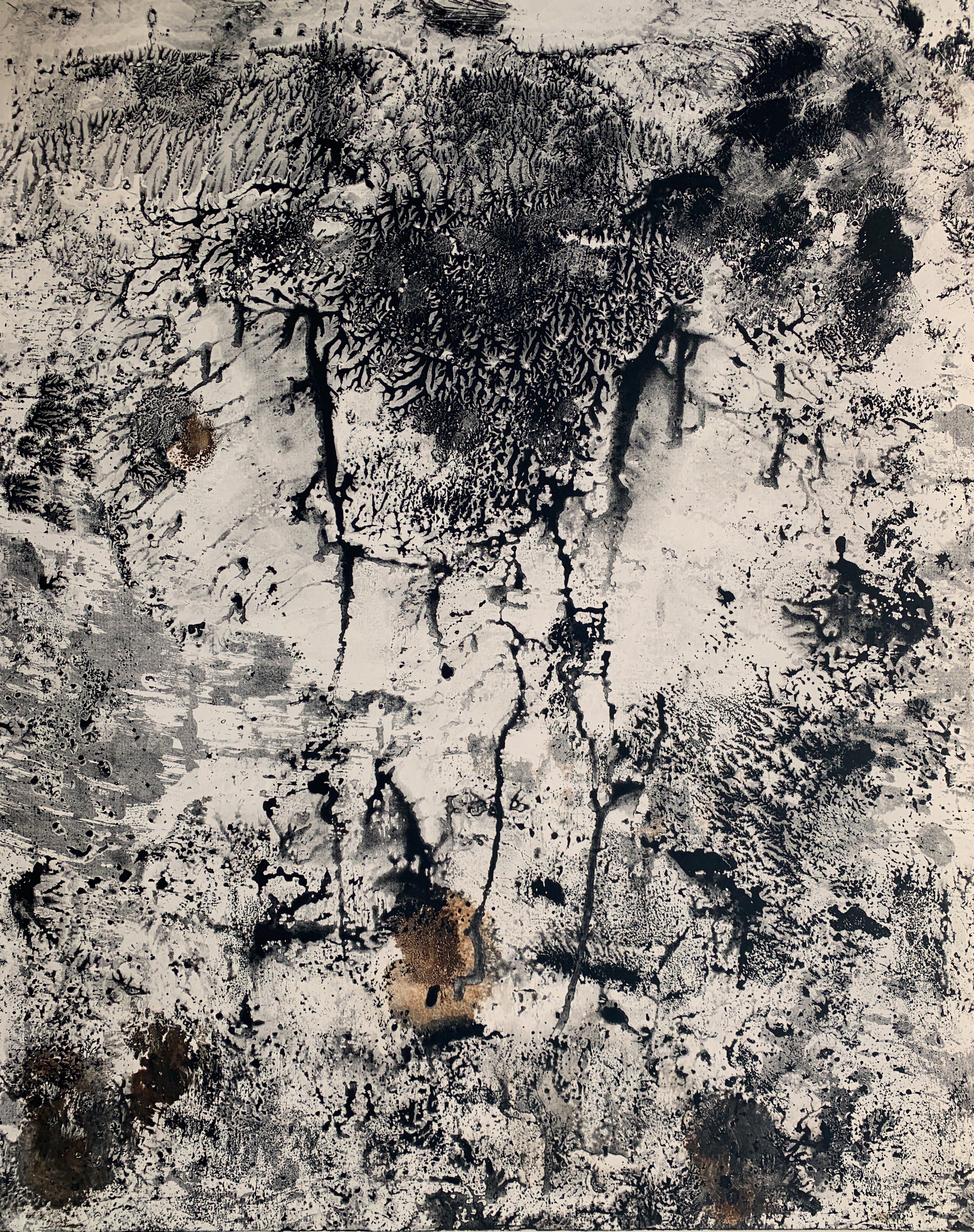 Snowcapped, ink on 22” X 30” BFK Rives paper, image size 19” X 24”.