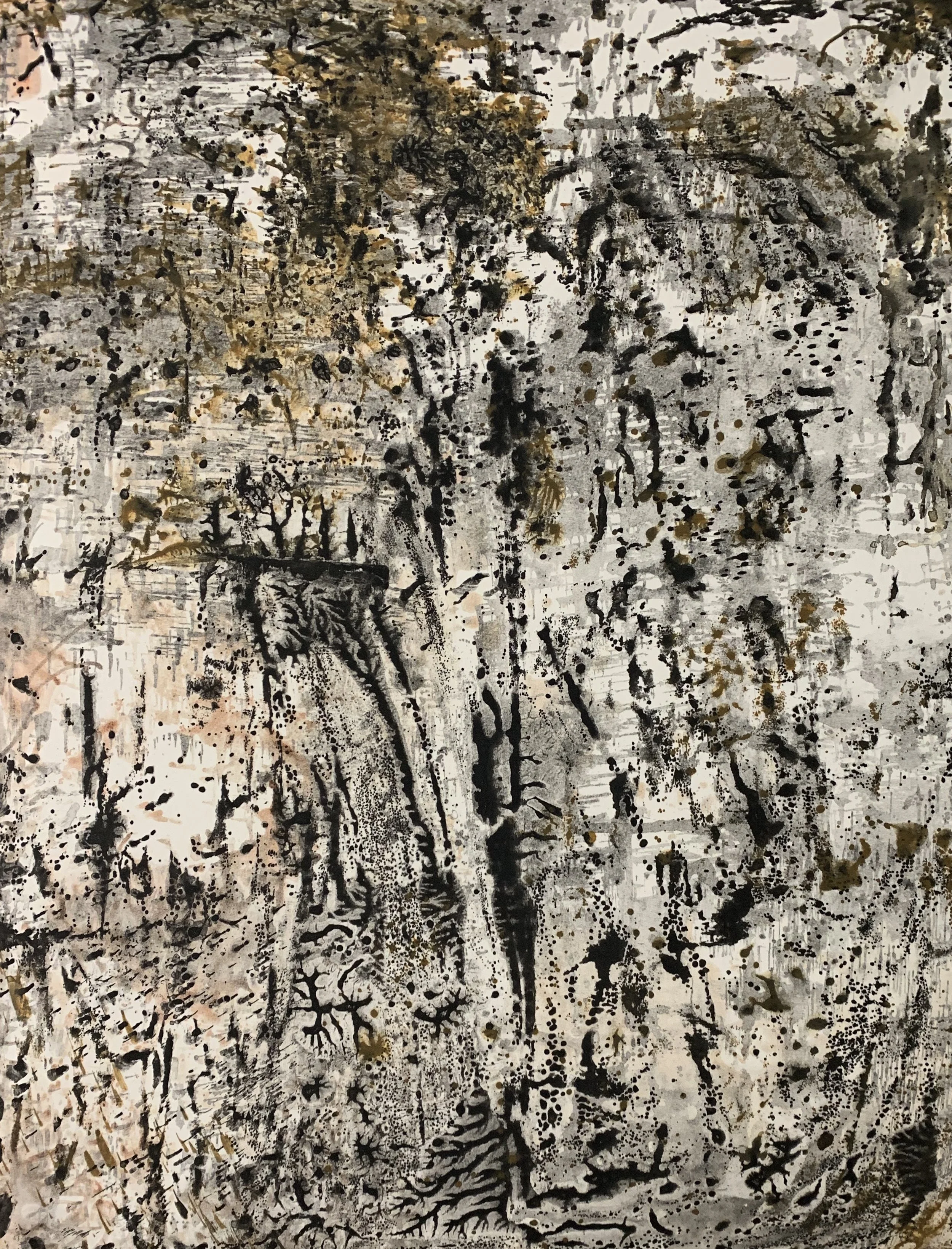 Aspen 3, Ink on 22” X 30 “ BFK Rives paper, image 19” X 24”.