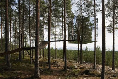 tree-hotel-view.jpg