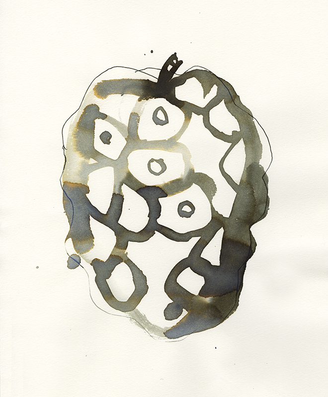 Stinky Fruit Illustration by Sara Singh