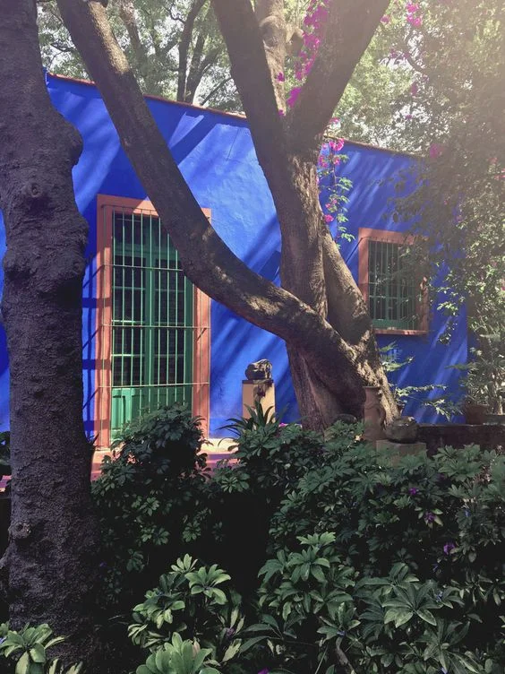 La Casa Azul – Photo Courtesy of Danae Santibáñez