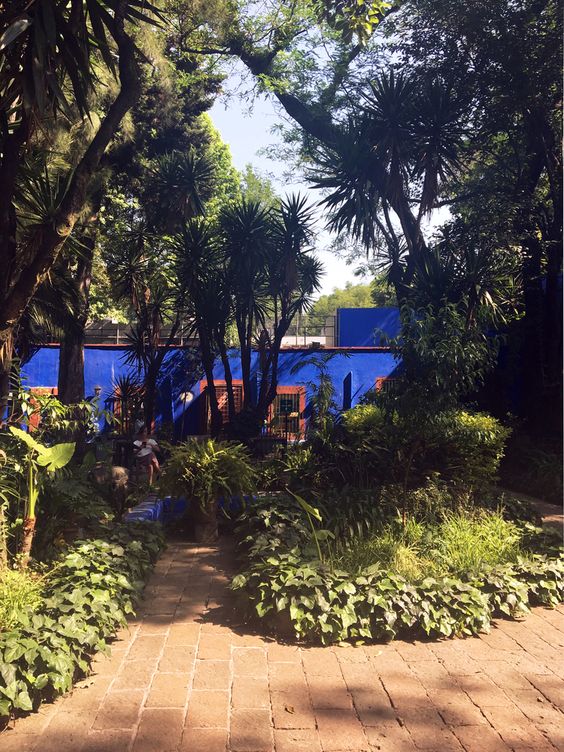 La Casa Azul – Photo Courtesy of Danae Santibáñez