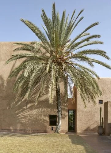 Villa D - Al Ouidane, Morocco by Studio kO