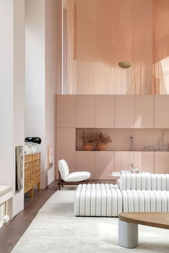 Pink Interior by BC Architects, Sao Paulo, Brazil