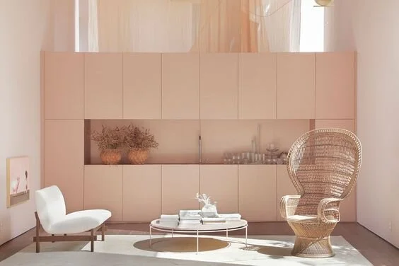 Pink Interior by BC Architects, Sao Paulo, Brazil