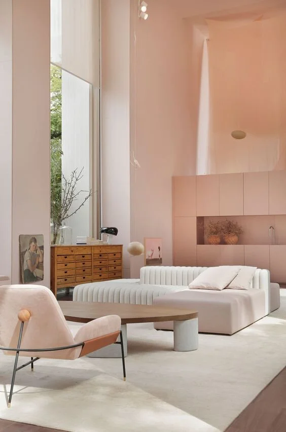 Pink Interior by BC Architects, Sao Paulo, Brazil