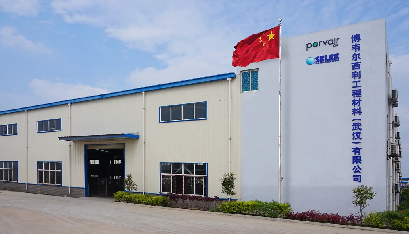 China plant copy.jpg