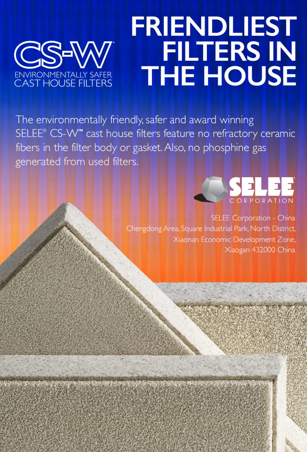 CSW Ad Layout_rev2_Wuhan.jpg