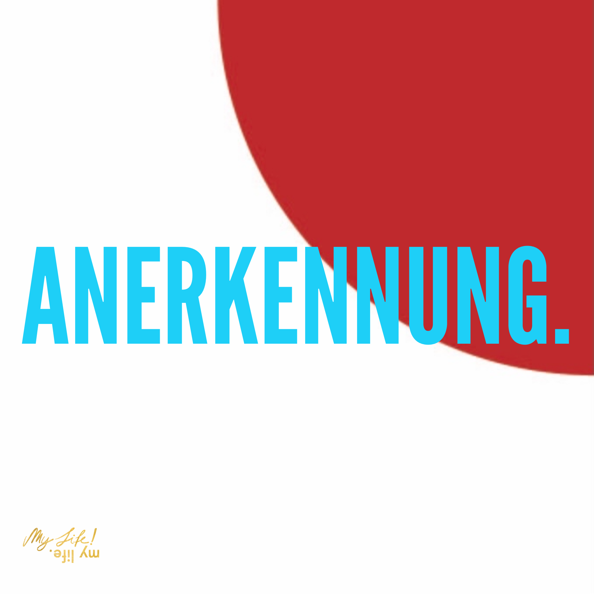 IMG_3872.PNG