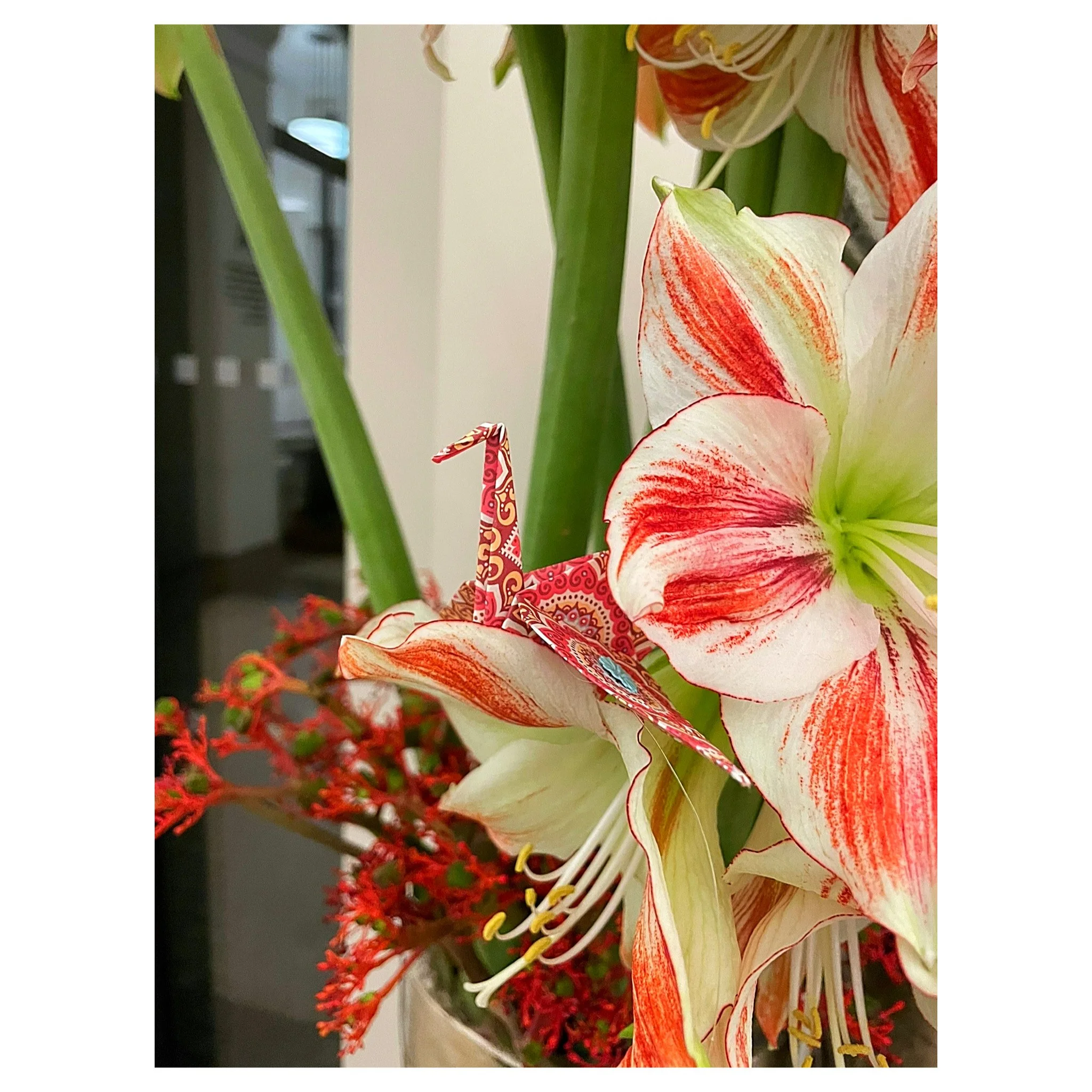 Whitagram-Image 9 Kopie.JPG