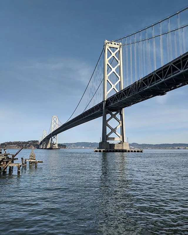 A clear day, last month. I'll go ahead and hype the bay bridge since she doesn't get as much love *ahem* as another. She's shiny, no-nonsense, and radiates a cool vibe of expansiveness (or is that just all the traffic??). So I'll miss her-- along wit