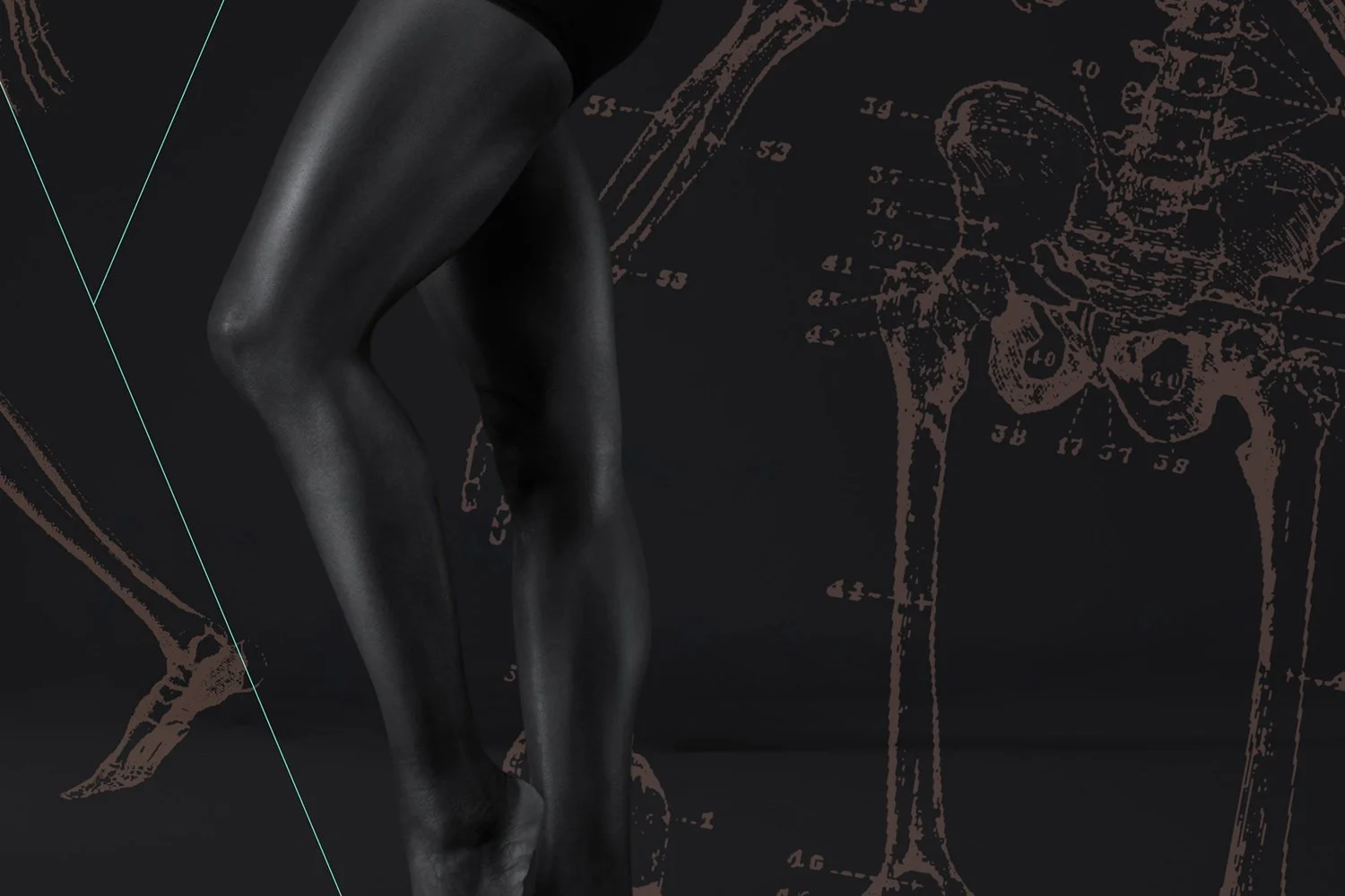 Osteoporosis and Osteopenia: What to Know and What to Do in Pilates (4 Hours/4 NPCP CECs)