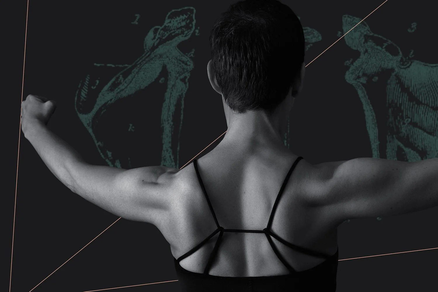 Shoulder Girdle: A Delicate Balance (3 Hours/3 NPCP CECs)