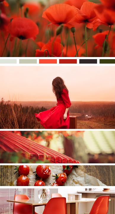 Moodboard 56 | Seed Design Consultancy