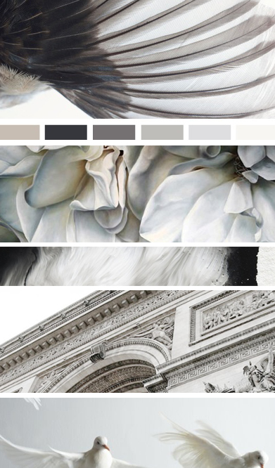 Moodboard 67 | Seed Design Consultancy