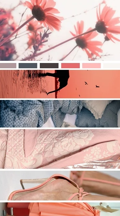 Moodboard 36 | Seed Design Consultancy
