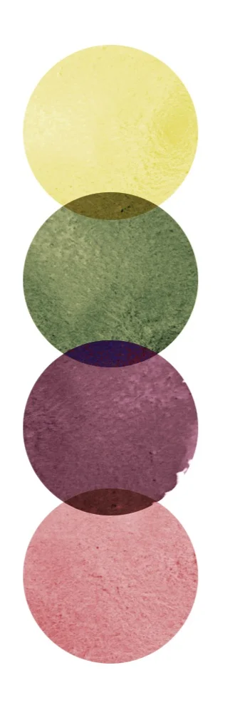 Brushstrokes Palette 25 | Seed Design Consultancy