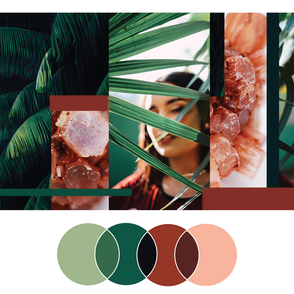 Fresh Palette 9 | Seed Design Consultancy