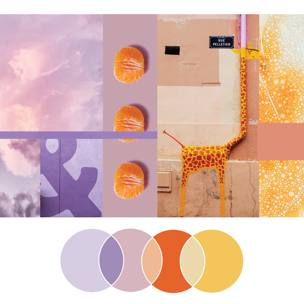 Fresh Palette 8 | Seed Design Consultancy