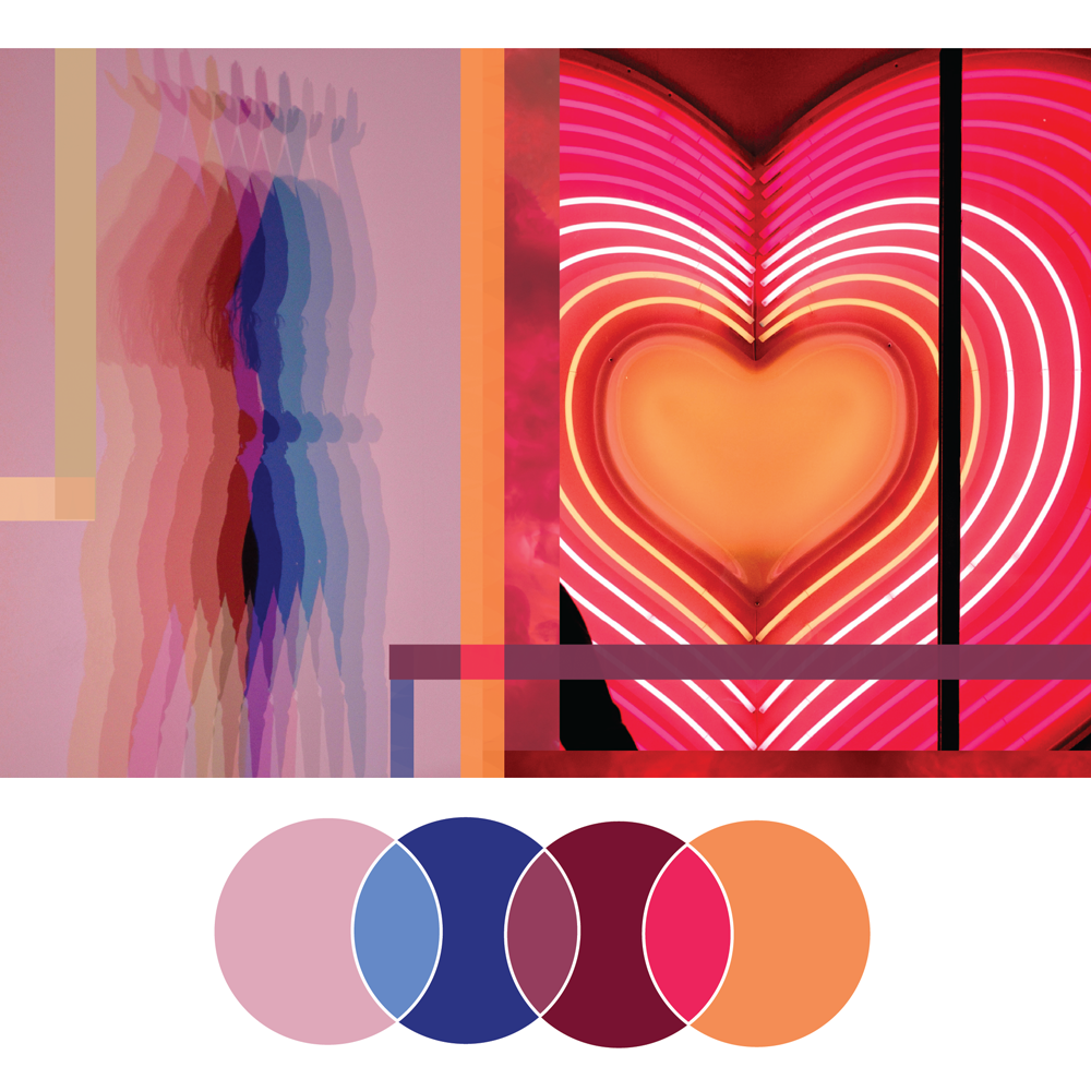 Fresh Palette 19 | Seed Design Consultancy