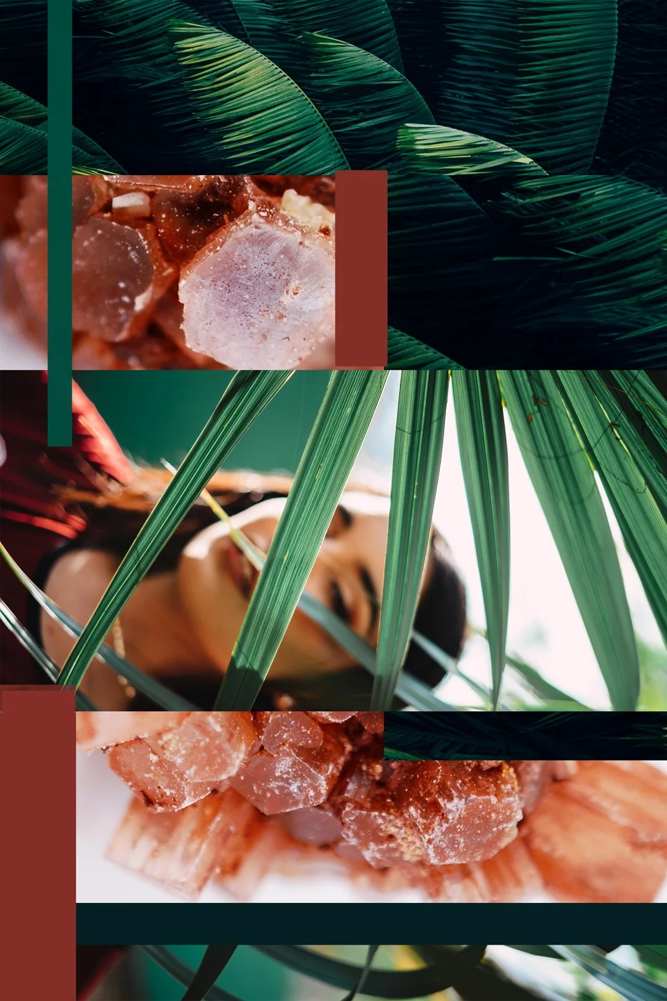 Fresh Moodboard 9 | Seed Design Consultancy
