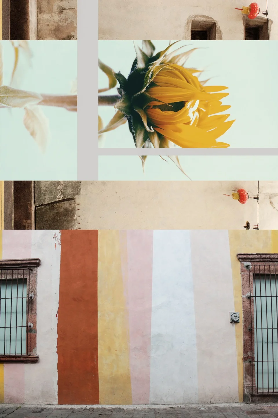 Fresh Moodboard 13 | Seed Design Consultancy