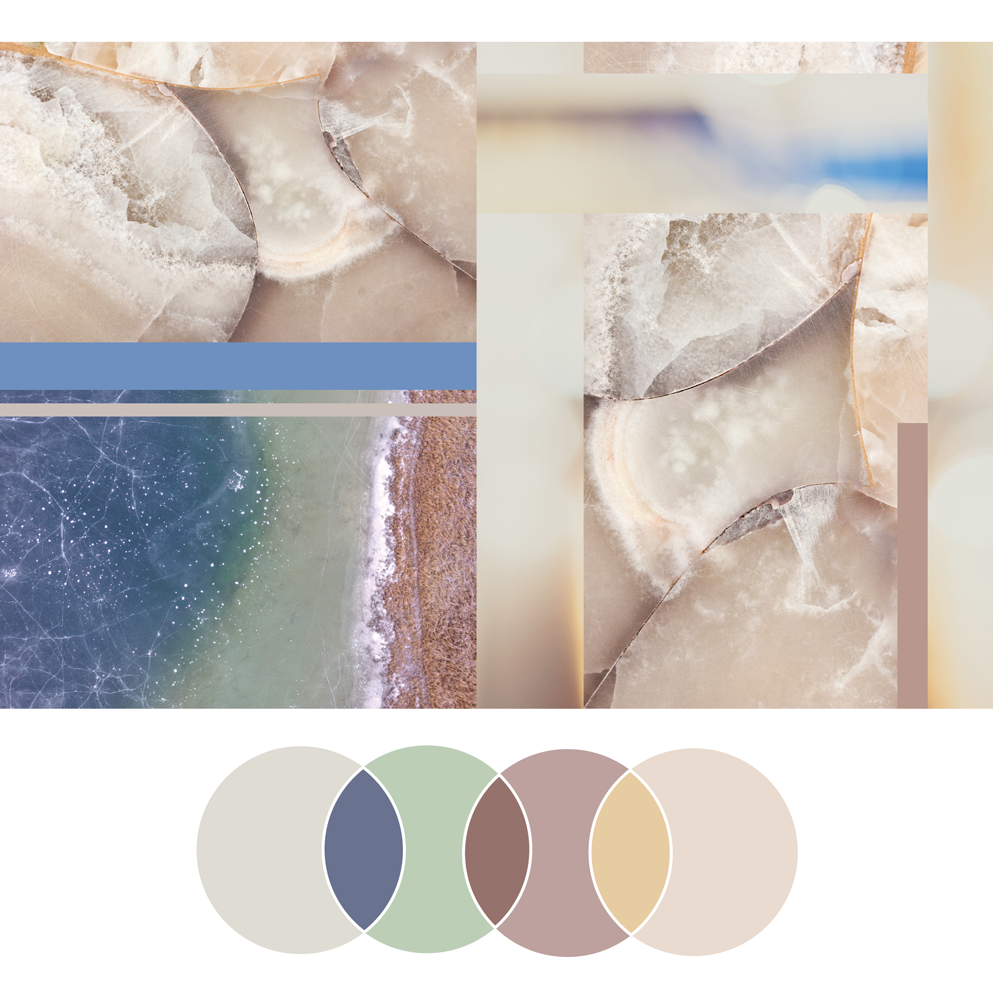 Fresh Palette 27 | Seed Design Consultancy