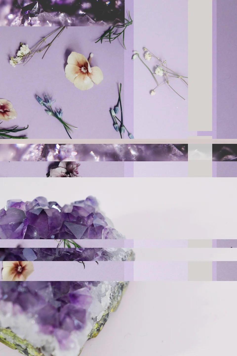 Fresh Moodboard 25 | Seed Design Consultancy