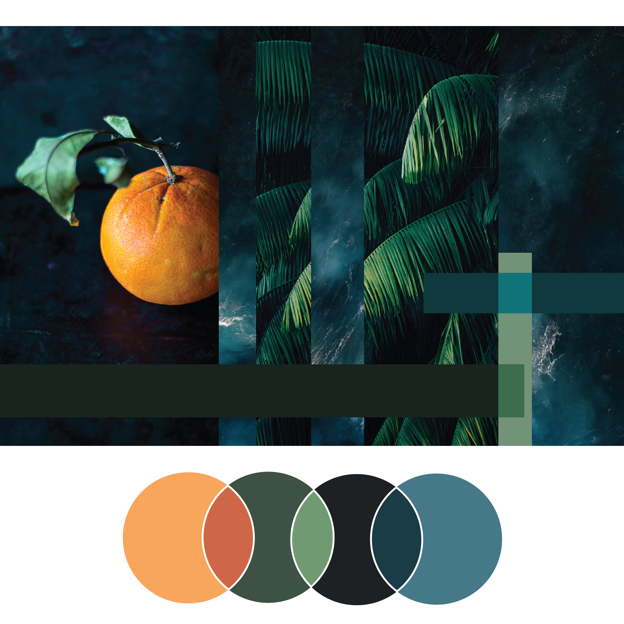 Fresh Palette 28 | Seed Design Consultancy
