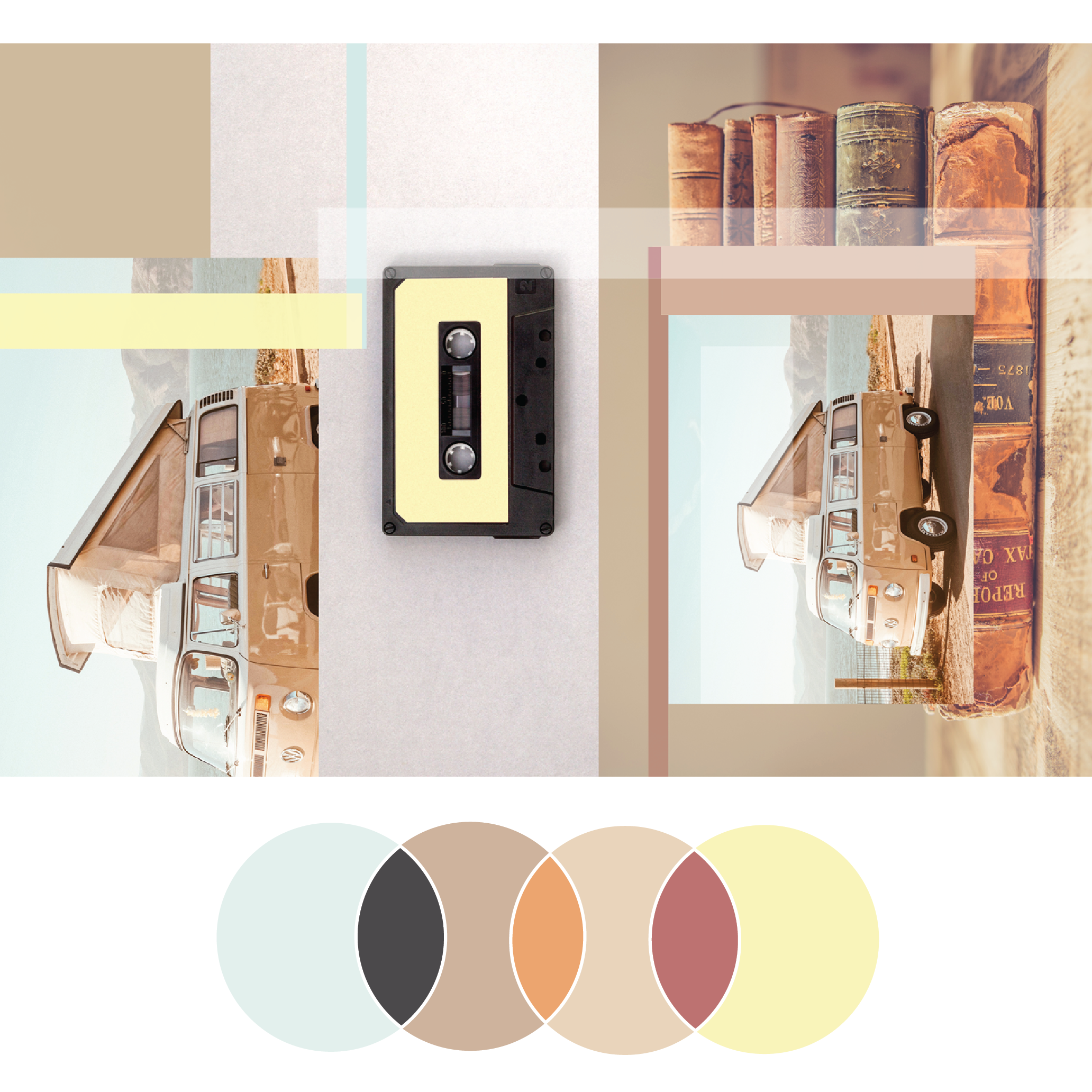 Fresh Palette 30 | Seed Design Consultancy