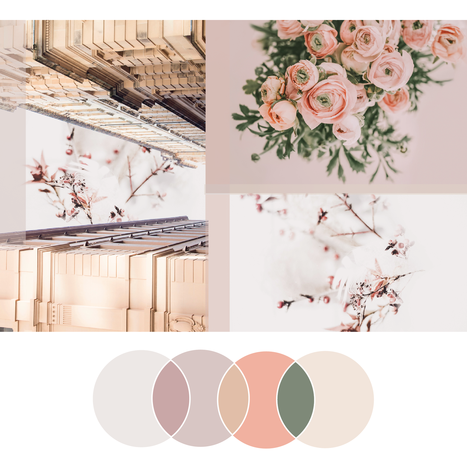 Fresh Palette 32 | Seed Design Consultancy
