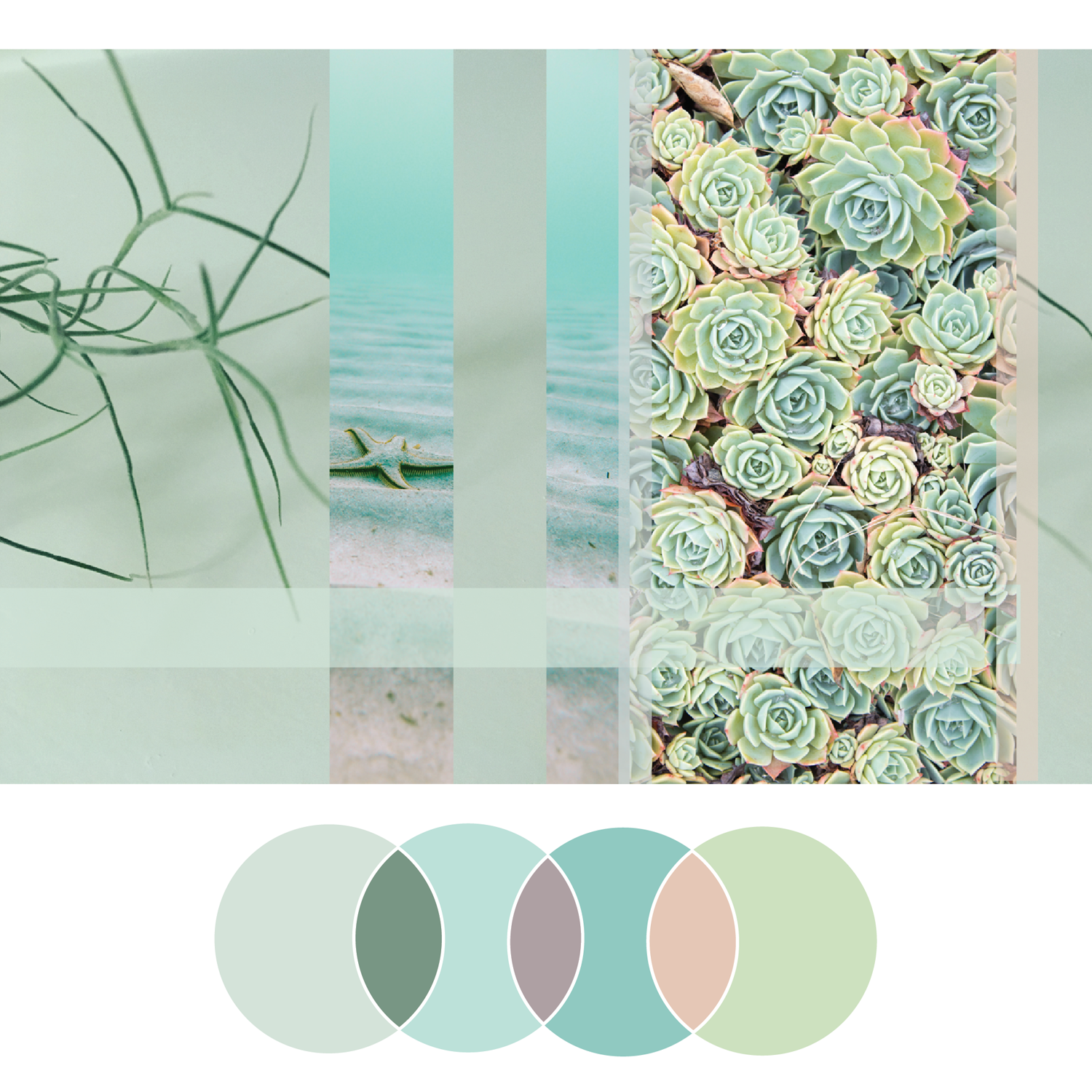 Fresh Palette 33 | Seed Design Consultancy